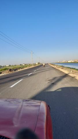 النهار نيوز
