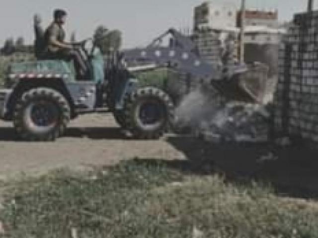 النهار نيوز