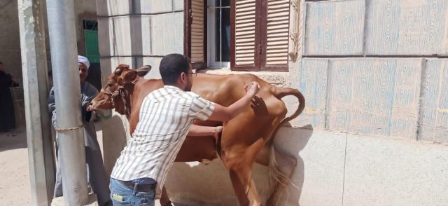 النهار نيوز