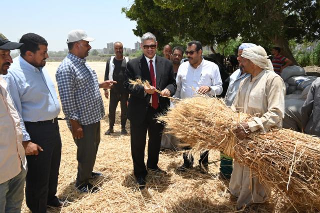 النهار نيوز
