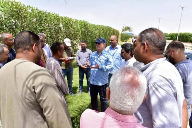 النهار نيوز
