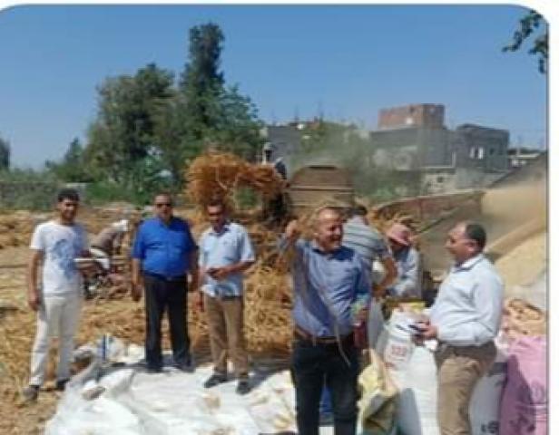 النهار نيوز