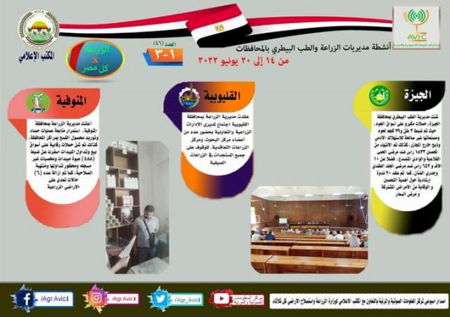 النهار نيوز