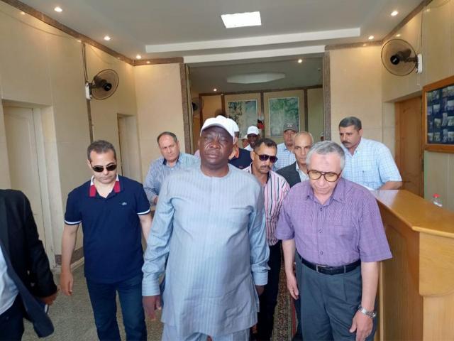 النهار نيوز