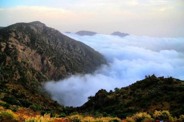 النهار نيوز