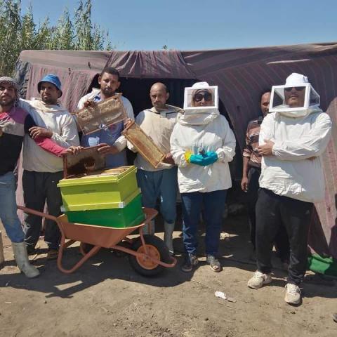 عسل النحل