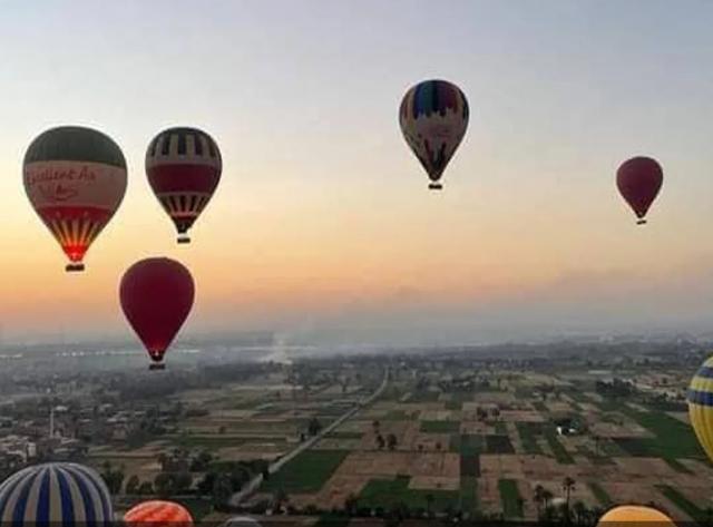 النهار نيوز