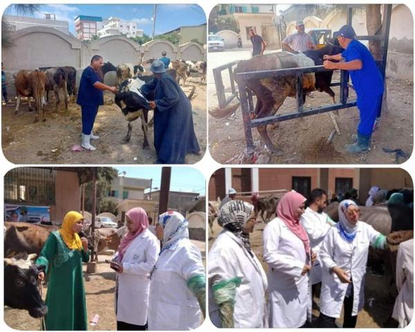 النهار نيوز