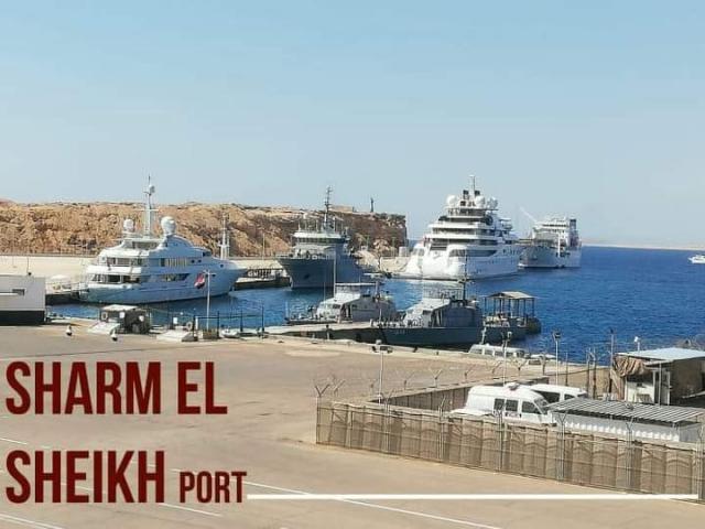 النهار نيوز