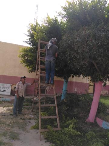النهار نيوز