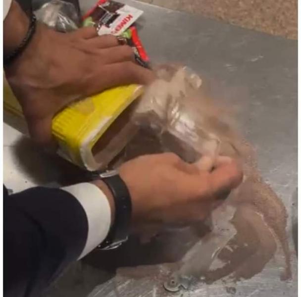 النهار نيوز