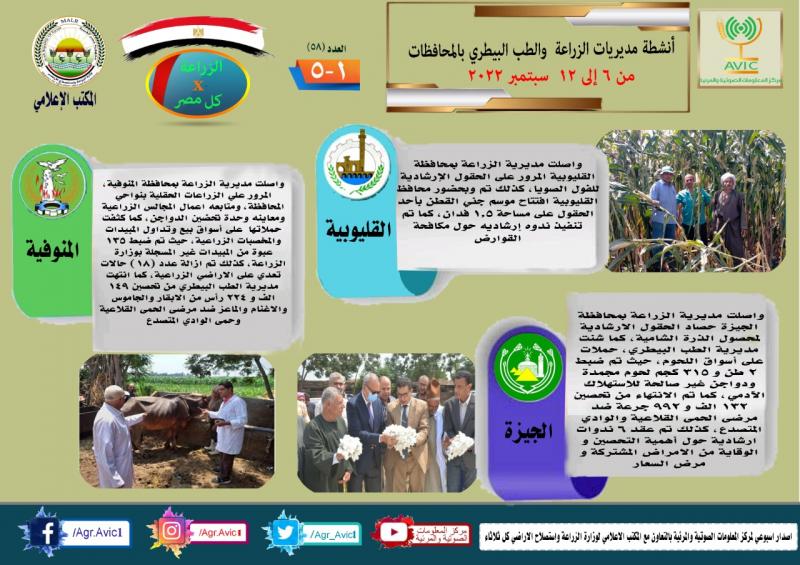 النهار نيوز