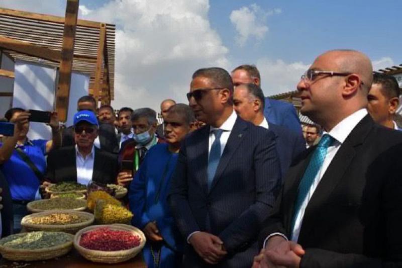 النهار نيوز