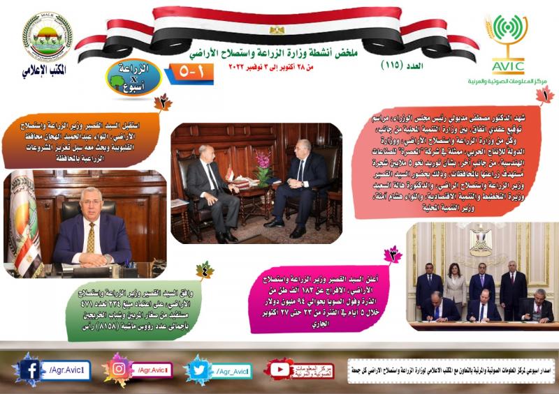 النهار نيوز