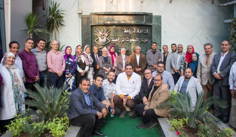 النهار نيوز