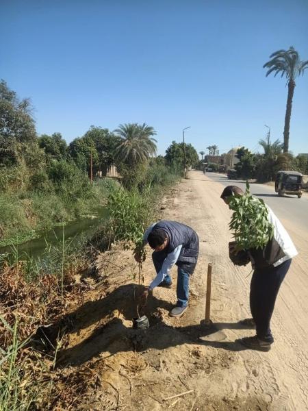 النهار نيوز