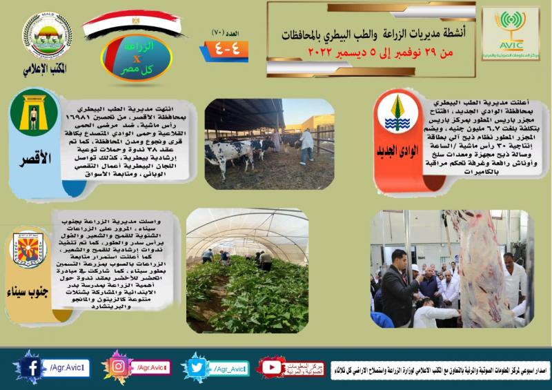النهار نيوز