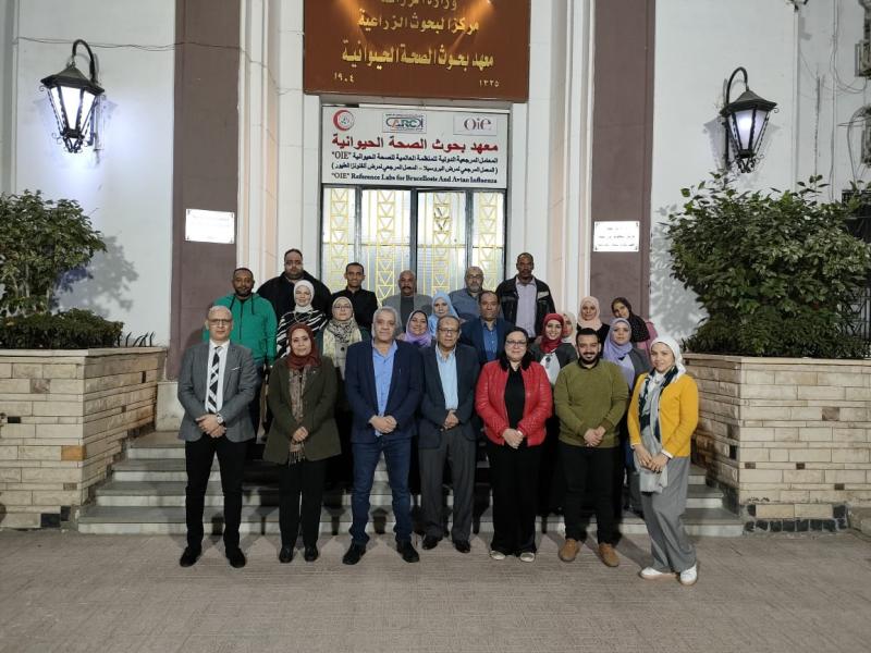 النهار نيوز