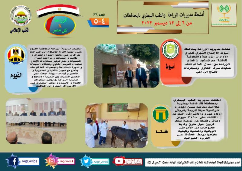 النهار نيوز
