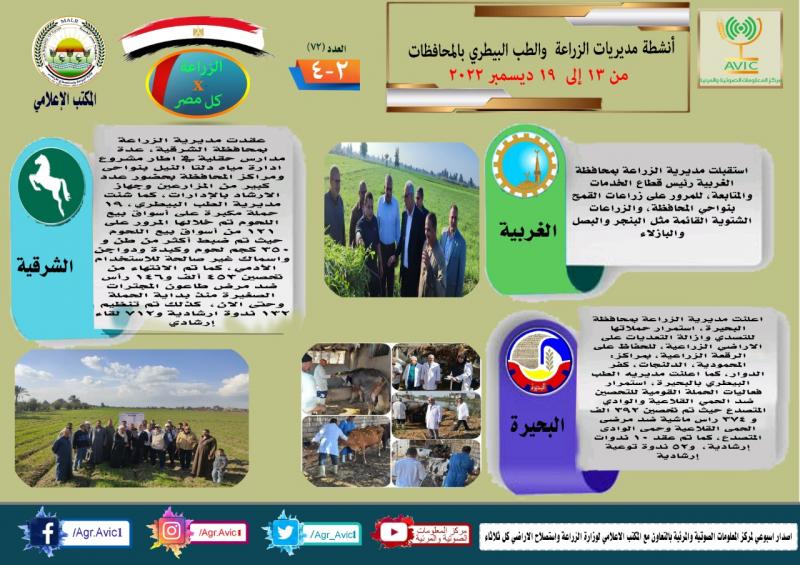 النهار نيوز
