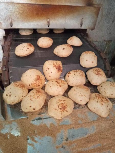 النهار نيوز
