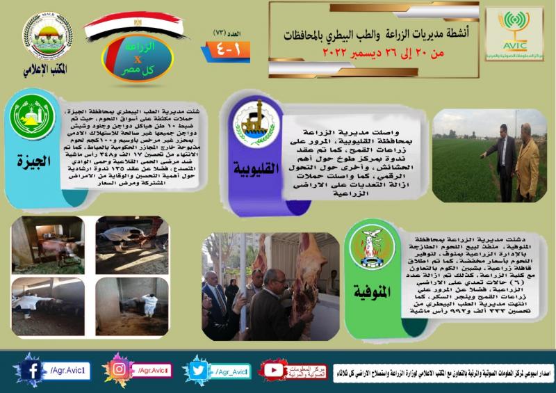النهار نيوز