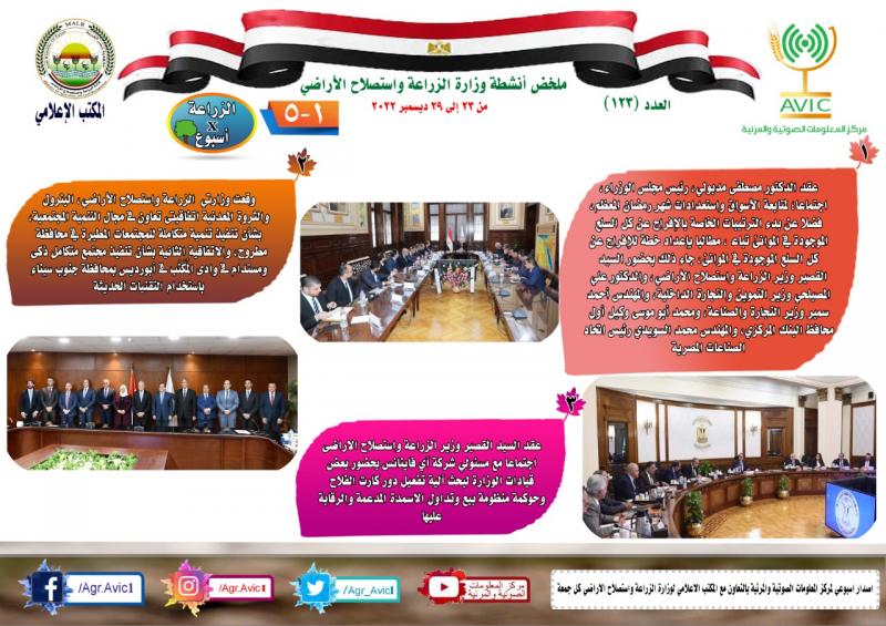 النهار نيوز