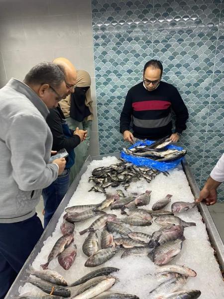 النهار نيوز