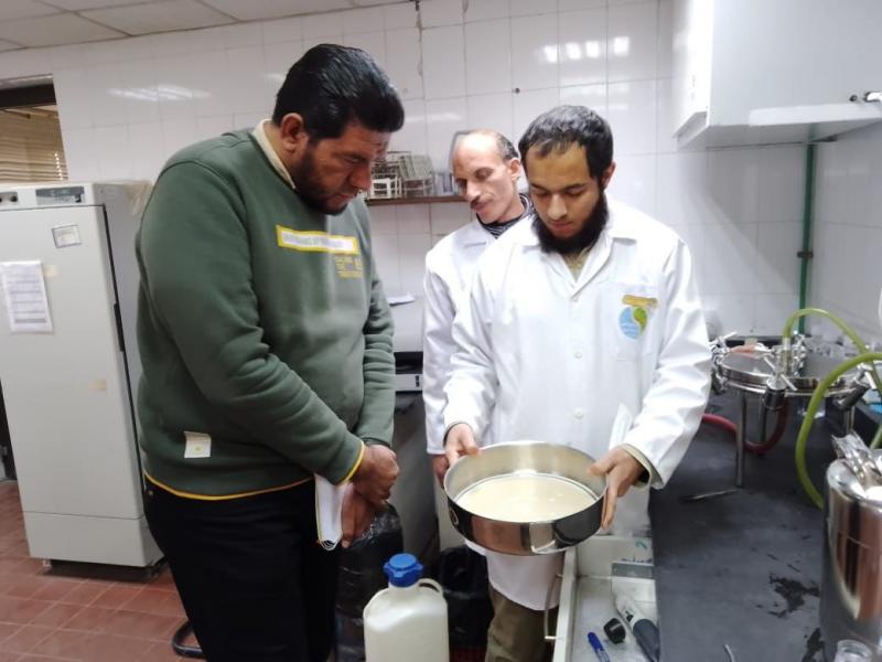 النهار نيوز