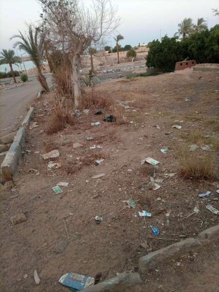 احد طرق مدينة ابو سمبل