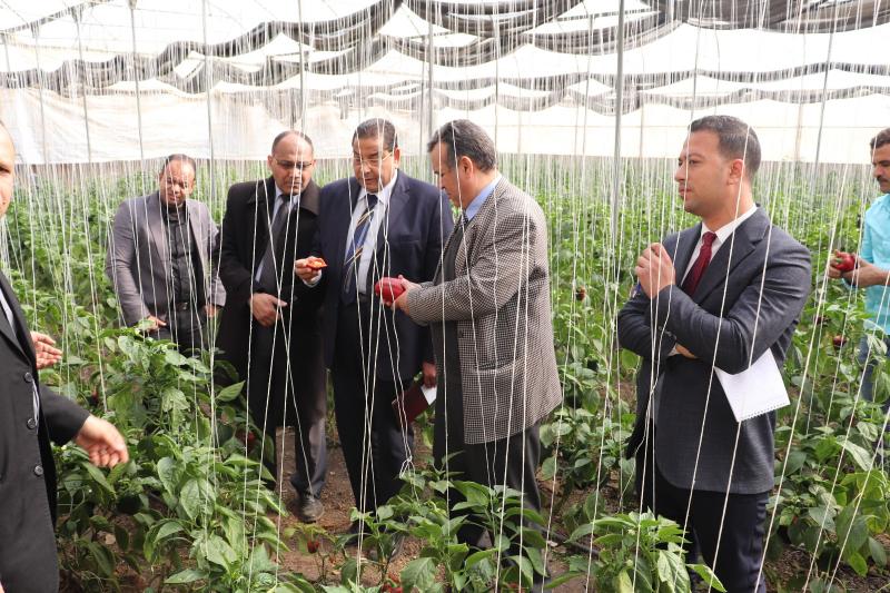 النهار نيوز