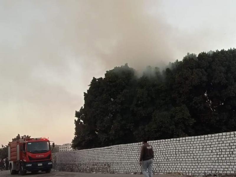 النهار نيوز