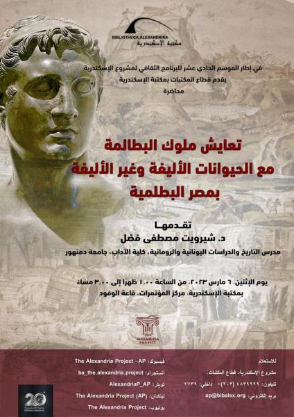 النهار نيوز