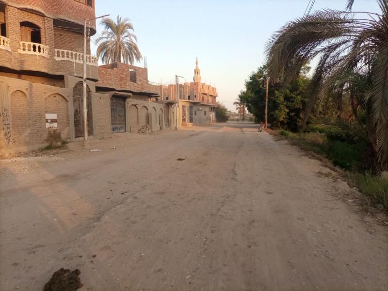 قرية المدامود بالأقصر