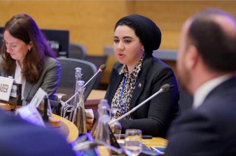 النائبة أميرة صابر عضو التنسيقية