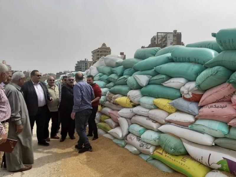 النهار نيوز