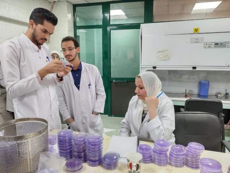 النهار نيوز