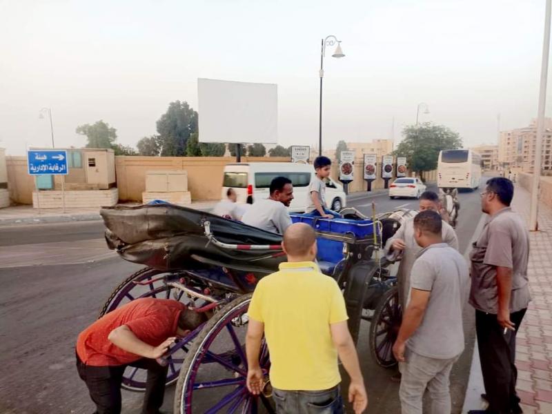 النهار نيوز