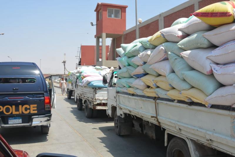 النهار نيوز