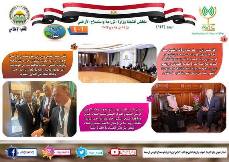 النهار نيوز