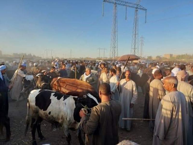 النهار نيوز