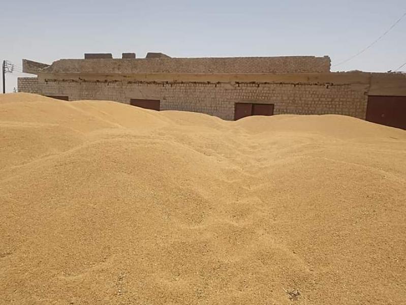 النهار نيوز