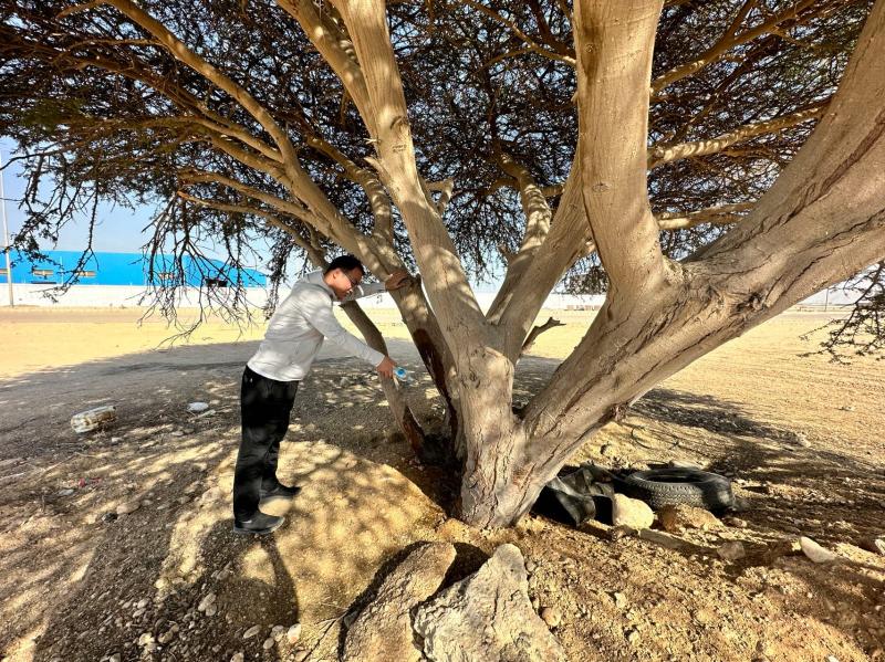 النهار نيوز