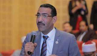 الشيمي: الانتخابات الرئاسية ستكون رسالة حب للرئيس