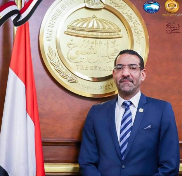 المهندس سامح الشيمي