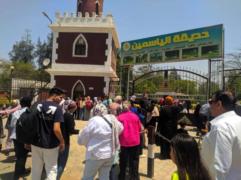 النهار نيوز