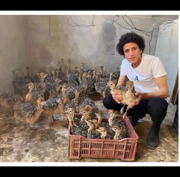 النهار نيوز