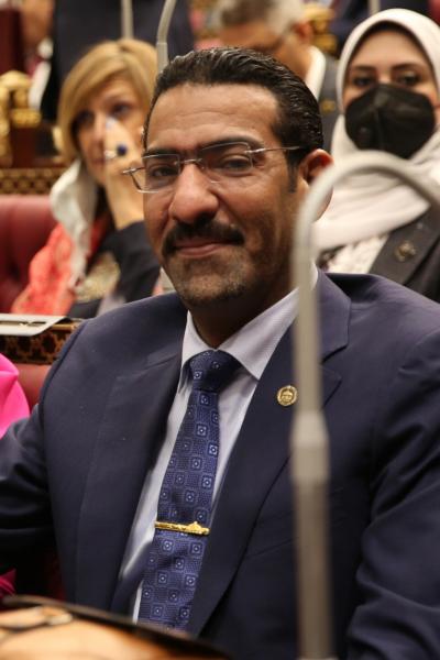 النائب سامح الشيمي