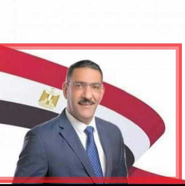 الشيمي : الدولة المصرية هي القوة الحقيقية في الشرق الأوسط