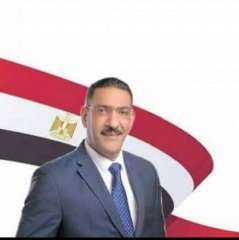 الشيمي : الدولة المصرية هي القوة الحقيقية في الشرق الأوسط
